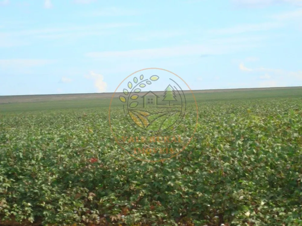 Fazenda, 3 quartos - Foto 5