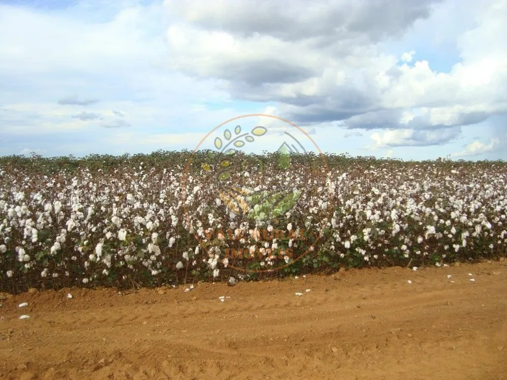 Fazenda, 3 quartos - Foto 4