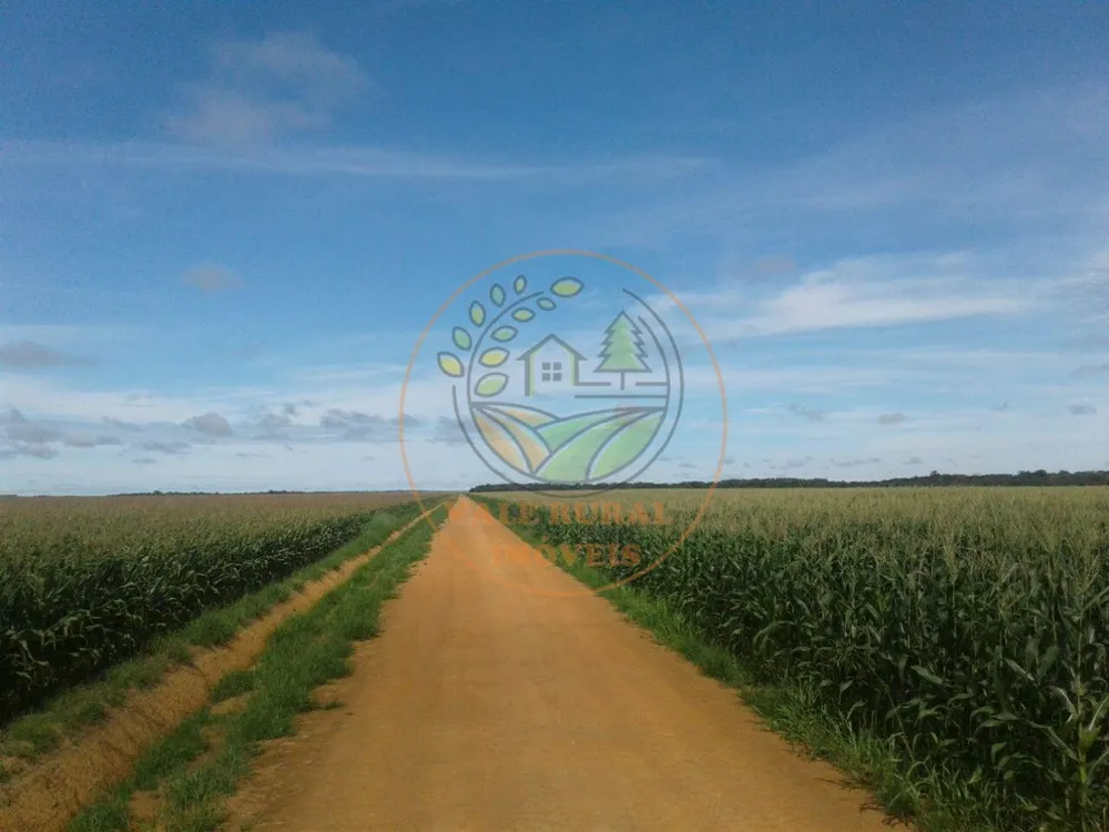 Fazenda, 3 quartos - Foto 12