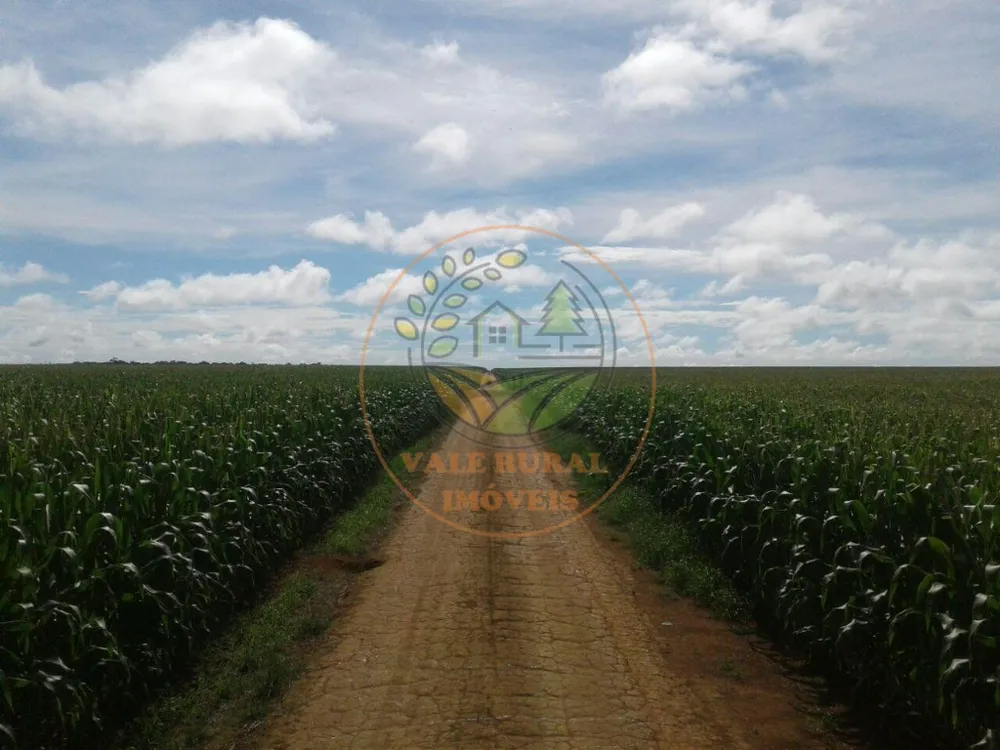 Fazenda, 3 quartos - Foto 3
