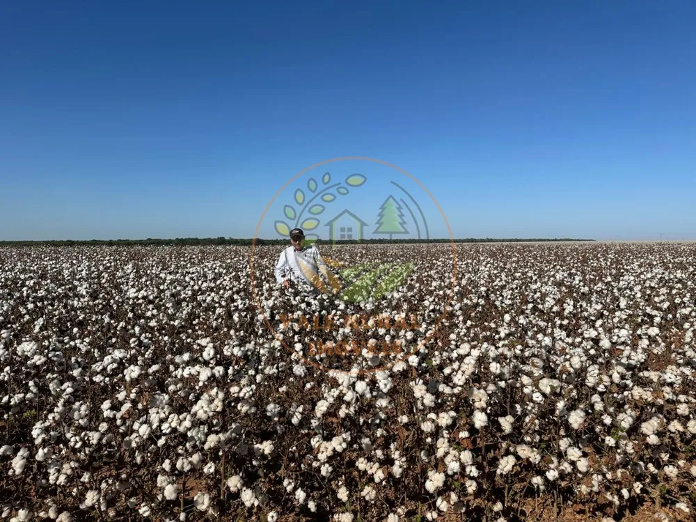 Fazenda, 3 quartos - Foto 6