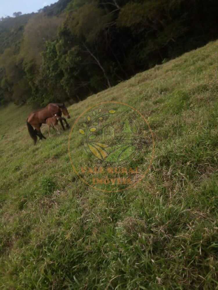 Fazenda à venda com 3 quartos, 152m² - Foto 3
