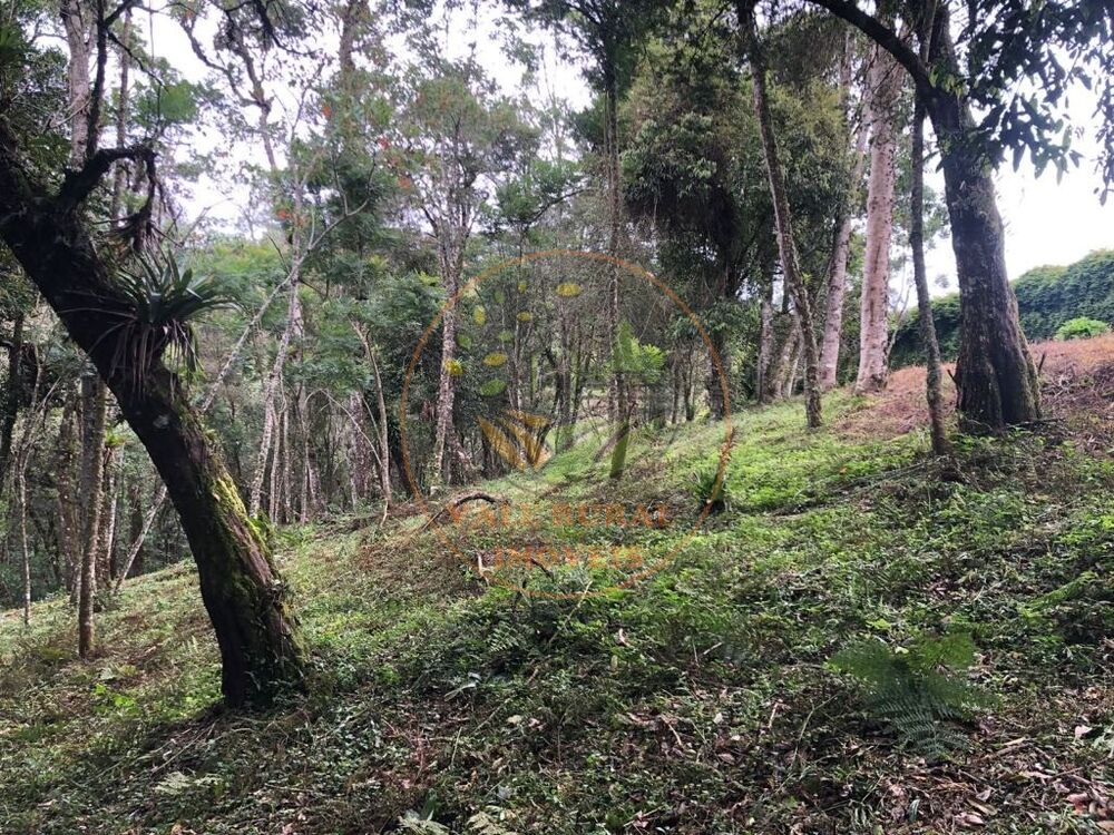 Fazenda, 3307 m² - Foto 4