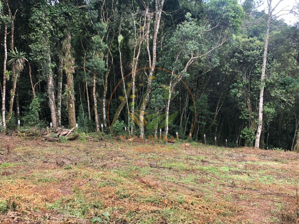 Fazenda, 3307 m² - Foto 1