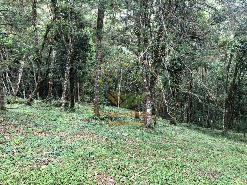 Fazenda, 3307 m² - Foto 2