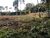 Fazenda, 3307 m² - Foto 3