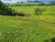 Fazenda - Foto 3