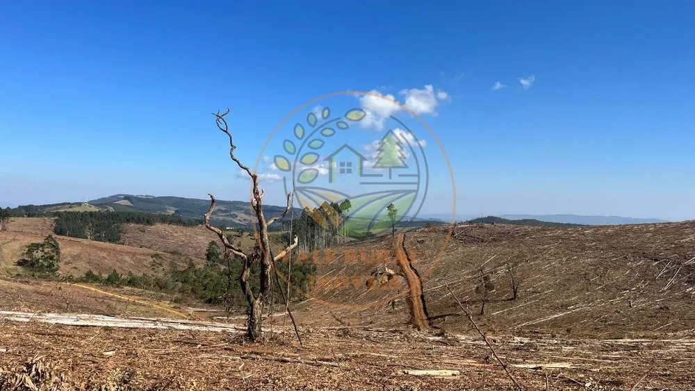 Fazenda - Foto 10