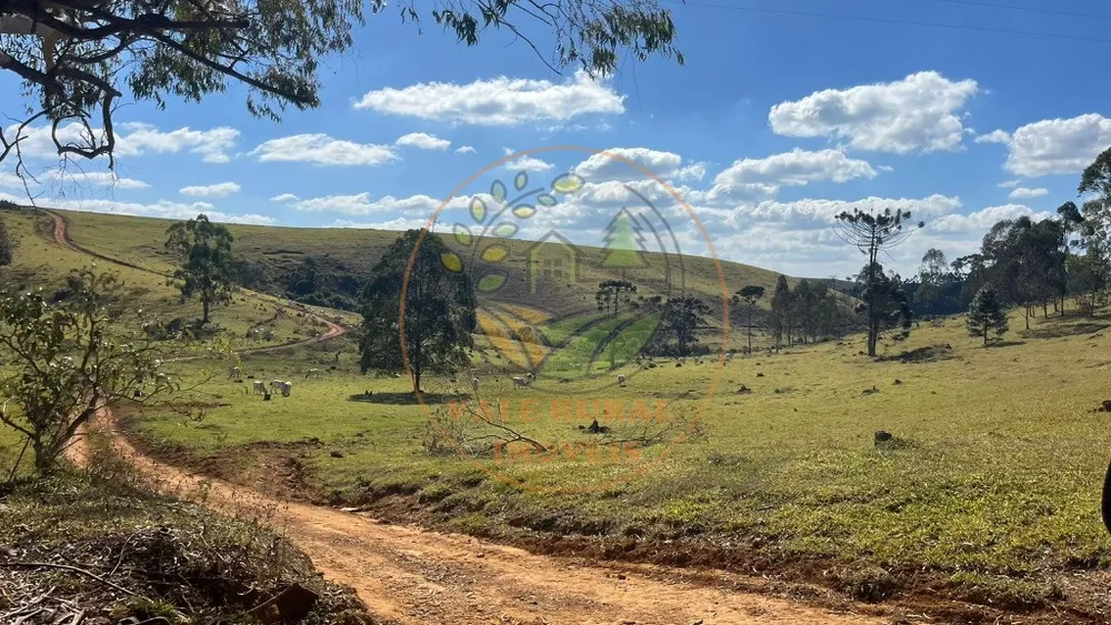 Fazenda - Foto 2