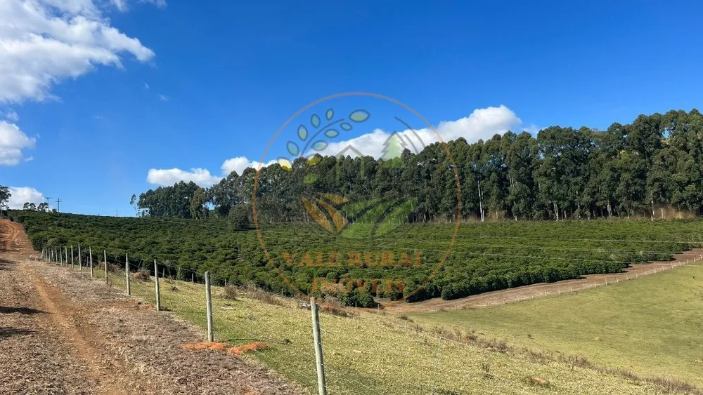 Fazenda - Foto 4