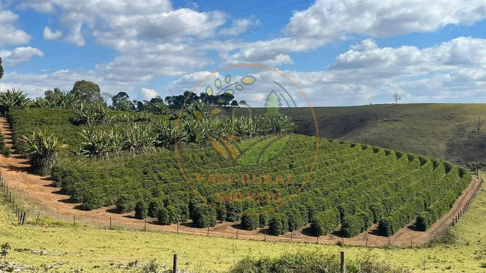 Fazenda - Foto 1