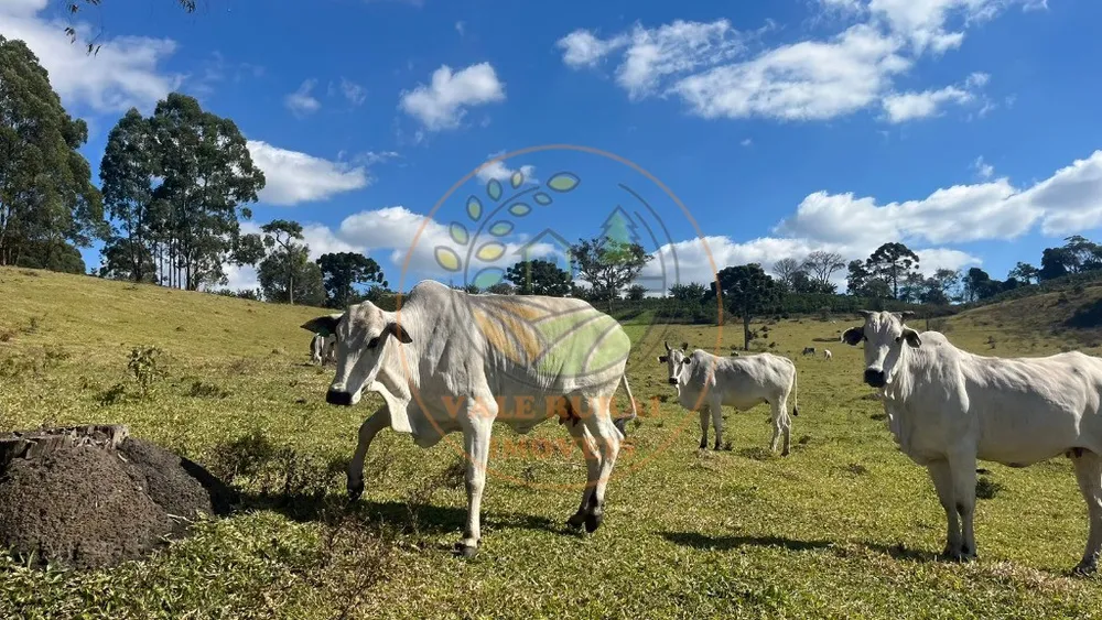 Fazenda - Foto 3