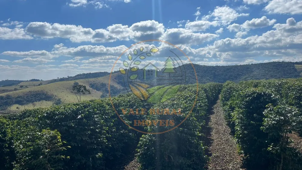 Fazenda - Foto 6