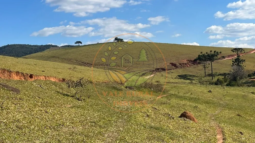Fazenda - Foto 5