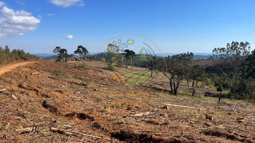 Fazenda - Foto 9