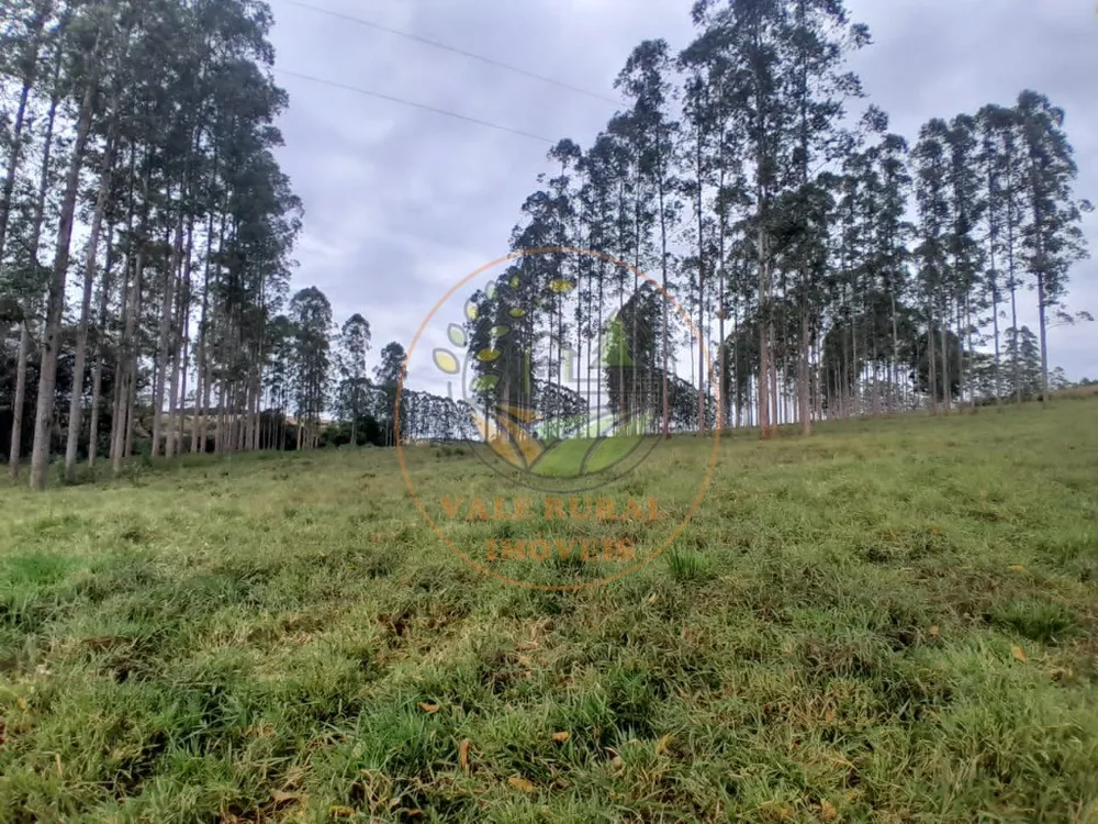 Fazenda, 3 quartos - Foto 9