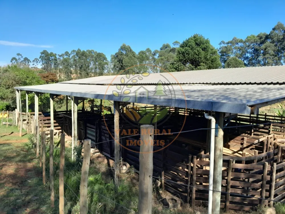 Fazenda, 3 quartos - Foto 8