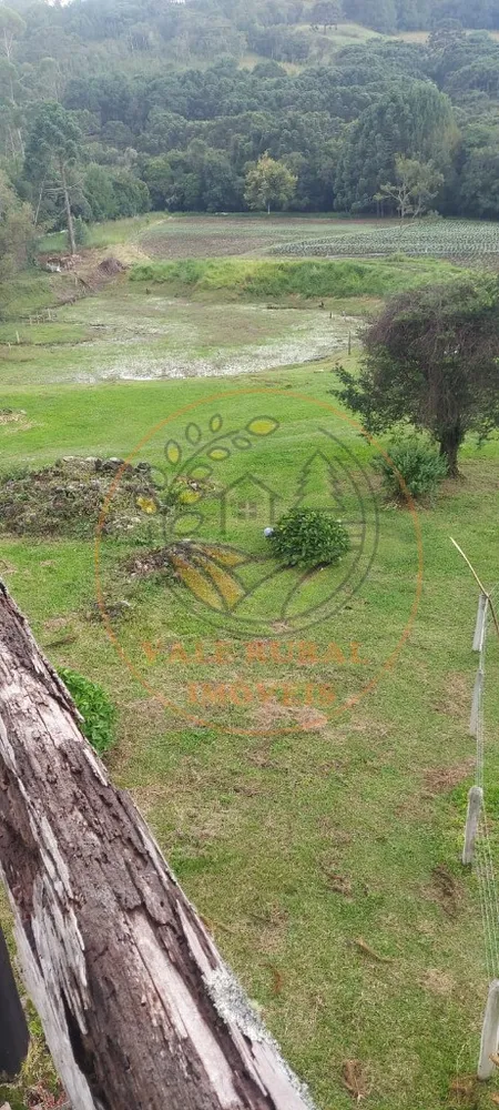 Sítio, 2 quartos, 2 hectares - Foto 6