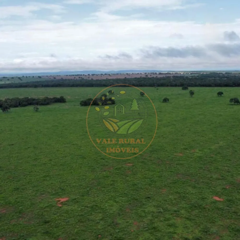 Fazenda, 2 quartos - Foto 5