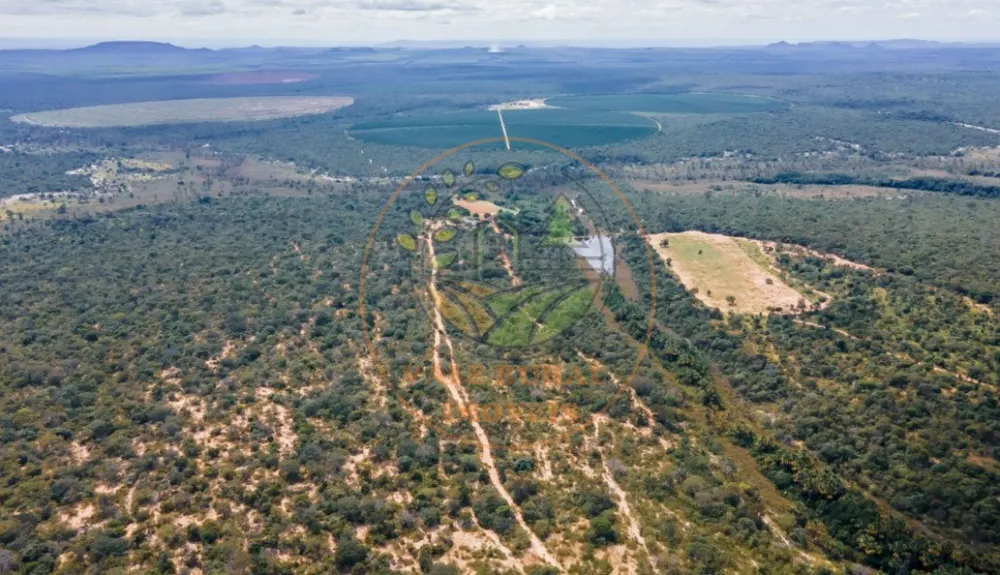 Fazenda, 1 quarto - Foto 4