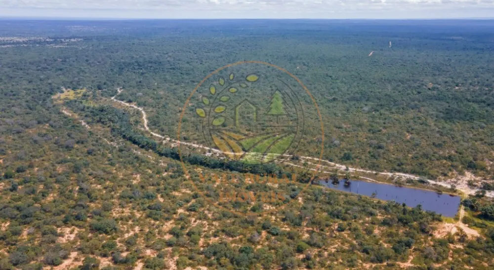 Fazenda, 1 quarto - Foto 6