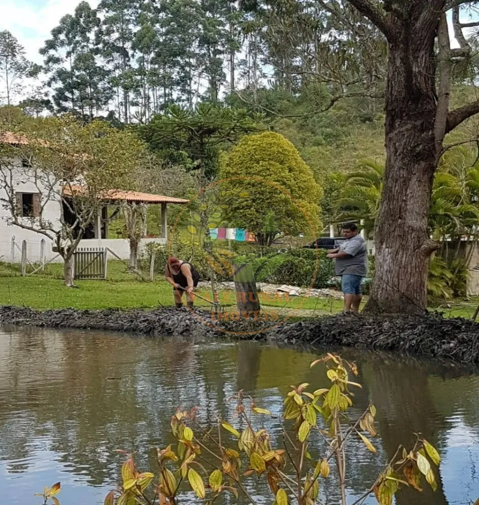 Sítio, 5 quartos, 2 hectares - Foto 6