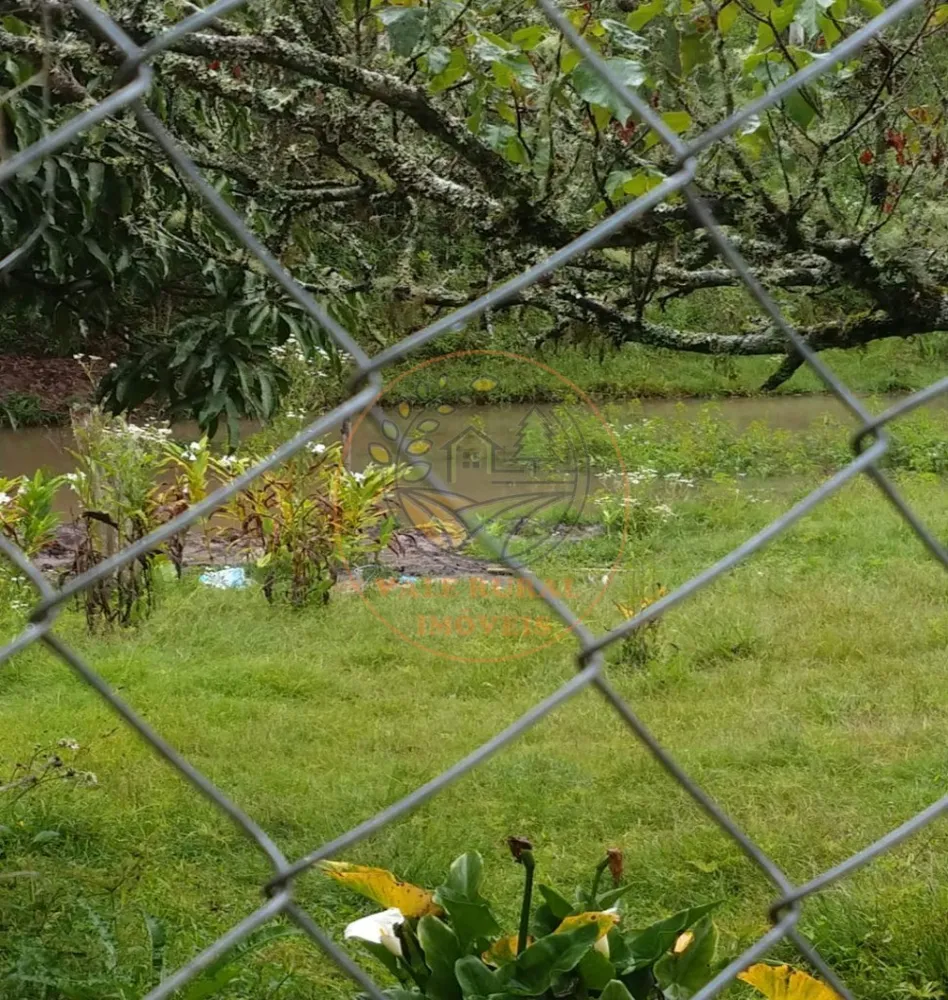 Sítio, 5 quartos, 2 hectares - Foto 2