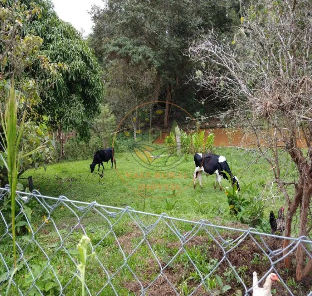 Sítio, 5 quartos, 2 hectares - Foto 8