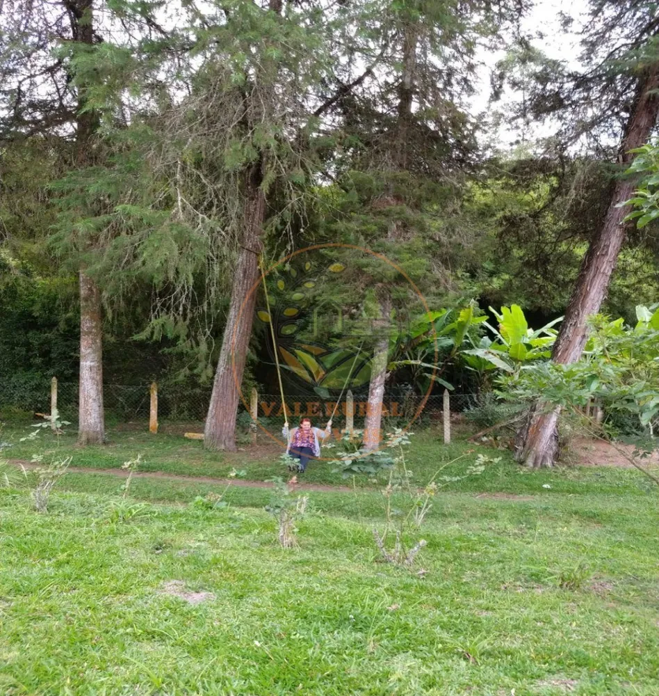 Sítio, 5 quartos, 2 hectares - Foto 3