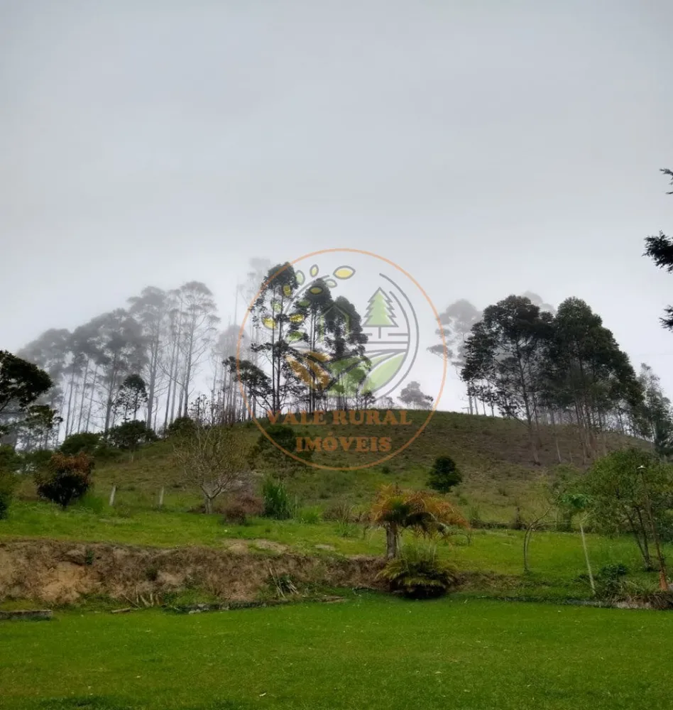 Sítio, 5 quartos, 2 hectares - Foto 12