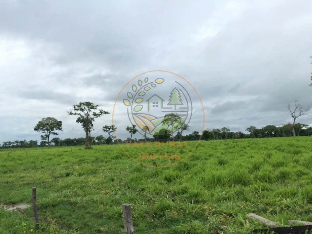 Fazenda, 2 quartos - Foto 6