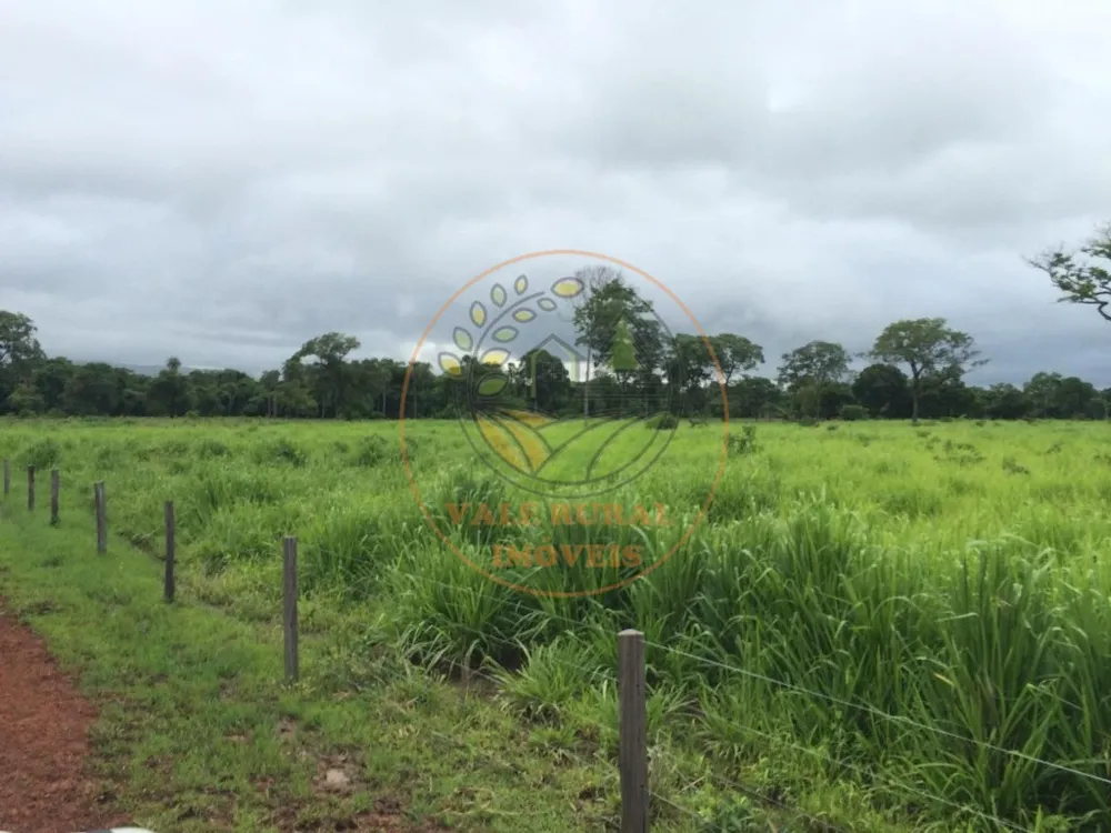 Fazenda, 2 quartos - Foto 3