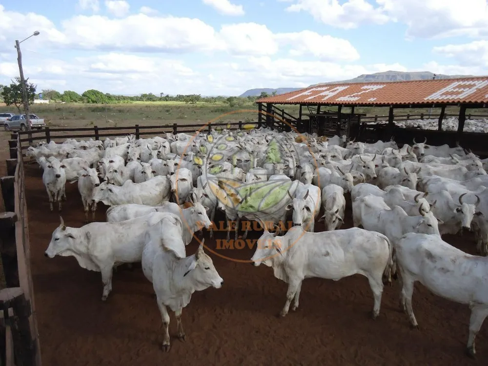 Fazenda, 2 quartos - Foto 1