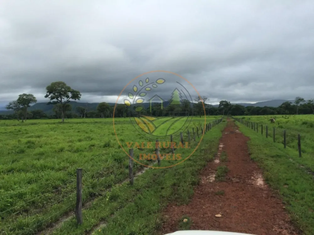 Fazenda, 2 quartos - Foto 4