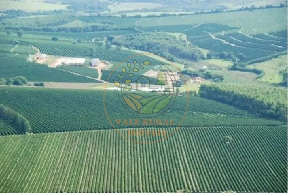 Fazenda - Foto 3