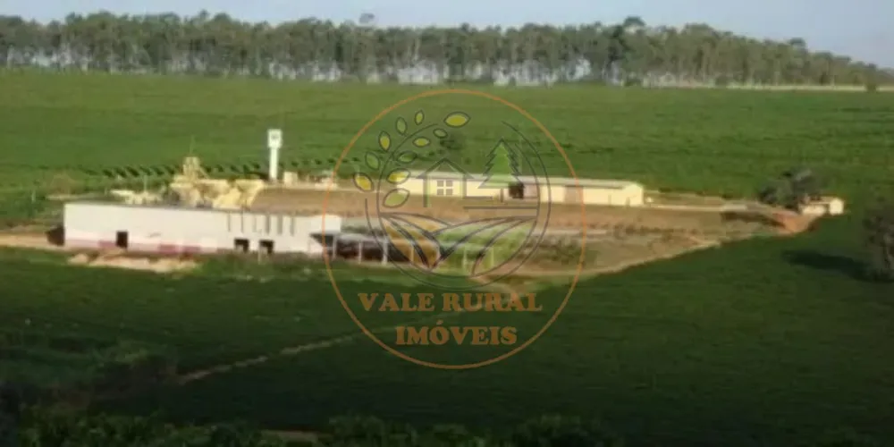 Fazenda - Foto 5
