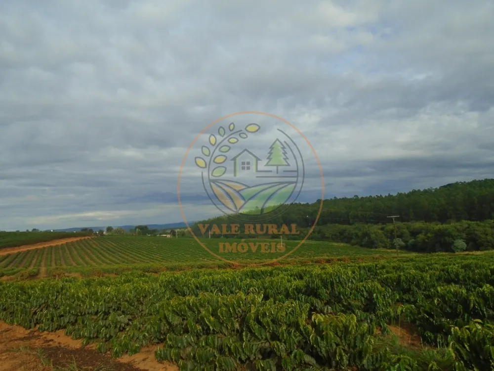 Fazenda - Foto 7