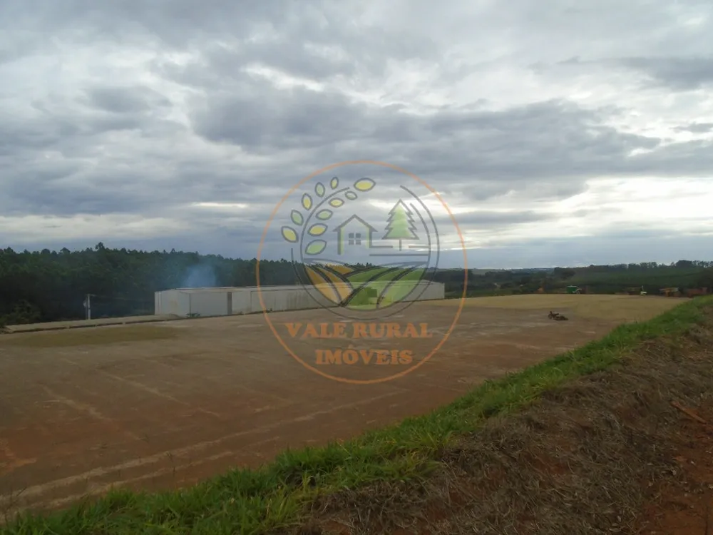 Fazenda - Foto 6