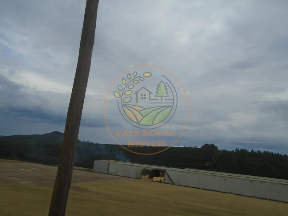 Fazenda - Foto 10