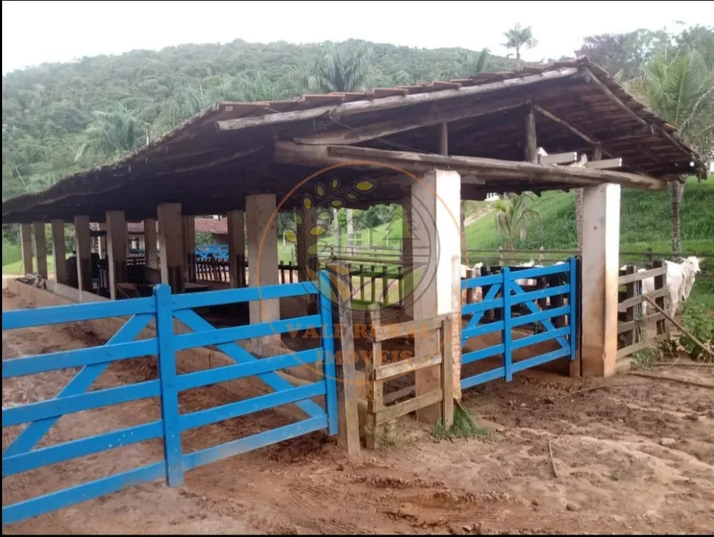 Fazenda, 3 quartos - Foto 5