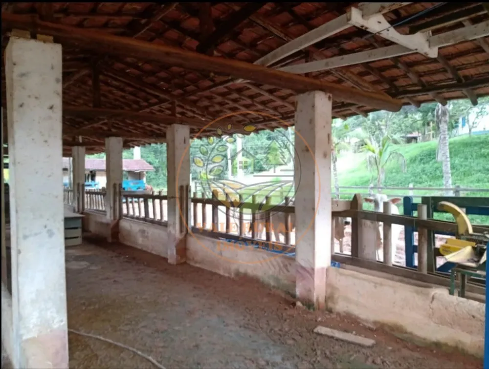 Fazenda, 3 quartos - Foto 8