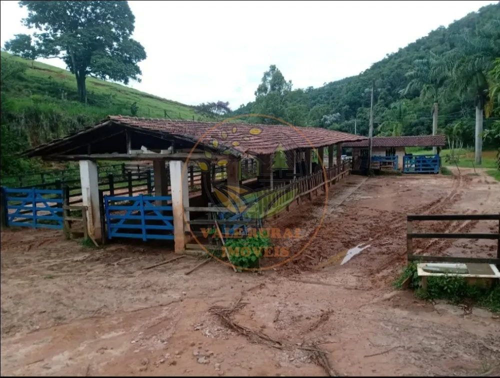 Fazenda, 3 quartos - Foto 9