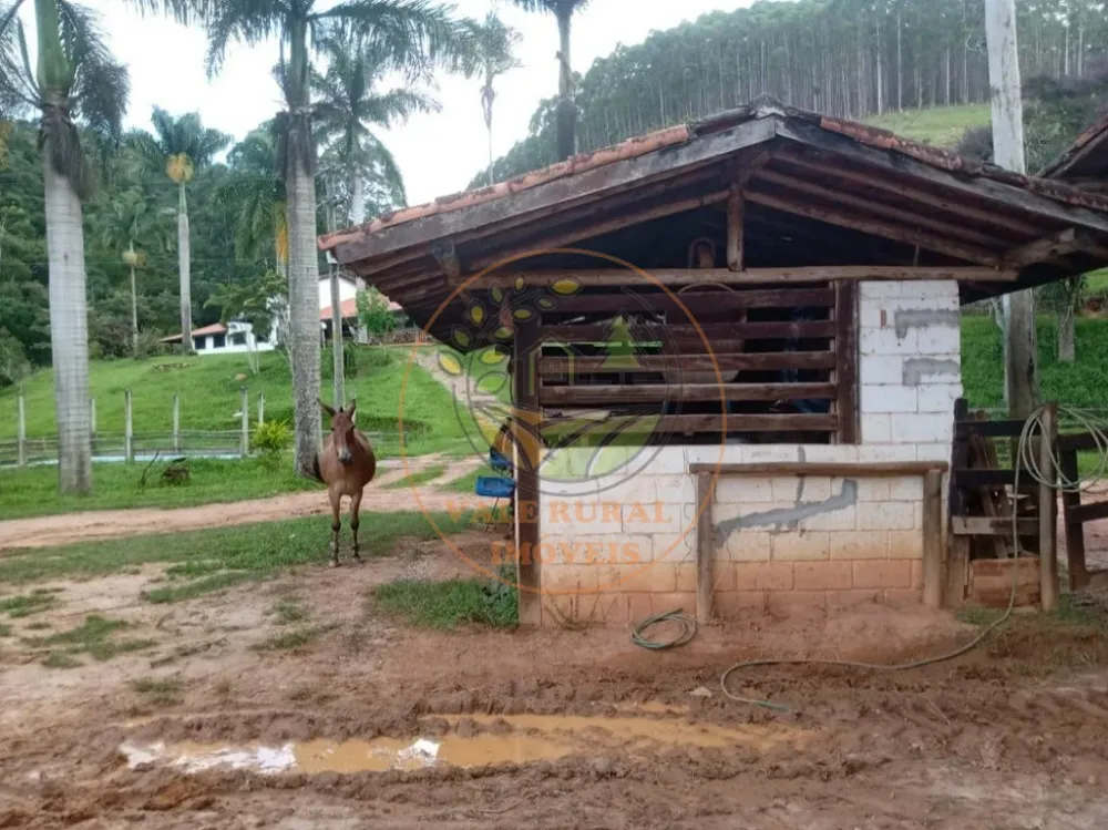 Fazenda, 3 quartos - Foto 7