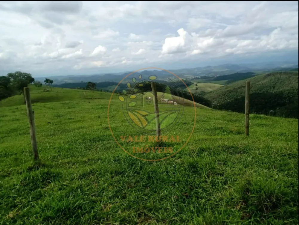 Fazenda, 3 quartos - Foto 6