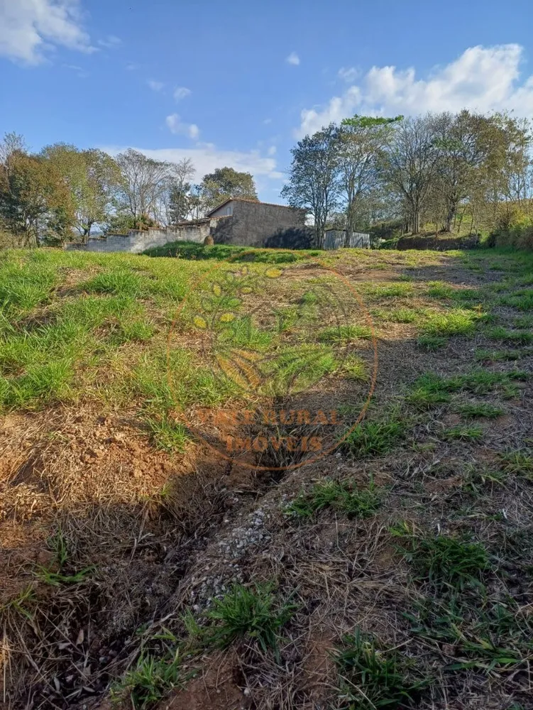 Fazenda, 2399 m² - Foto 6