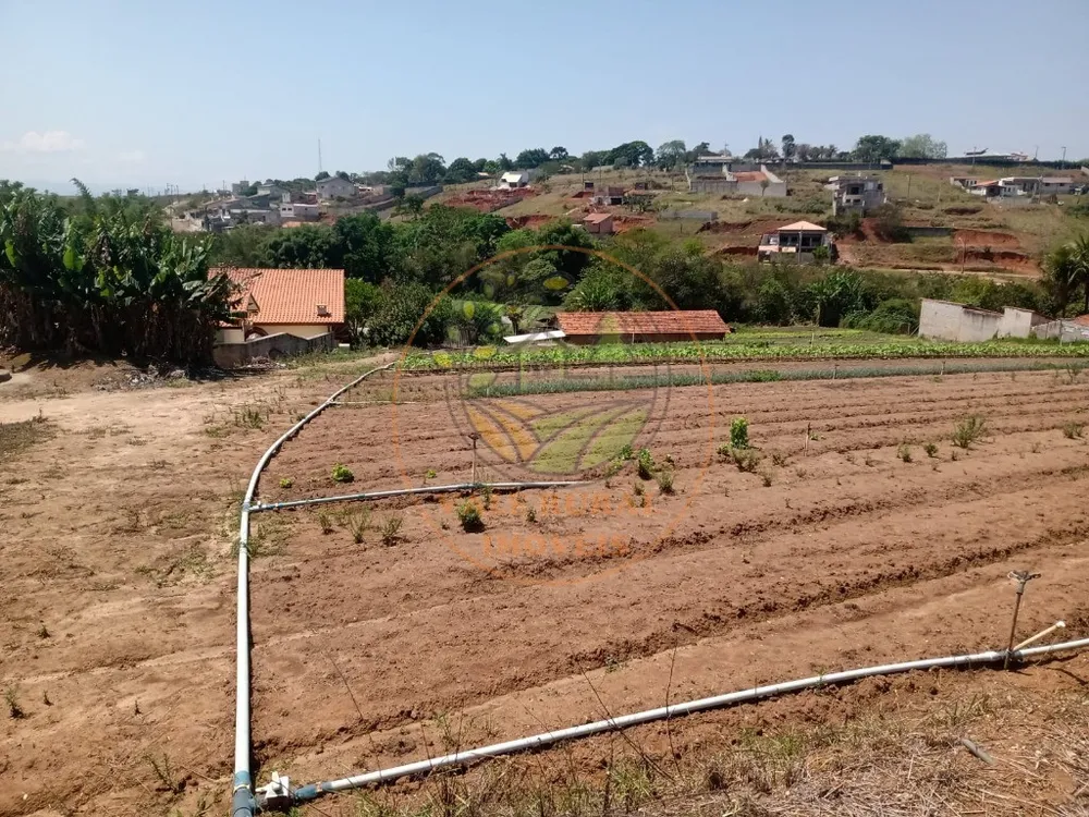 Chácara, 4 quartos, 2 hectares - Foto 6