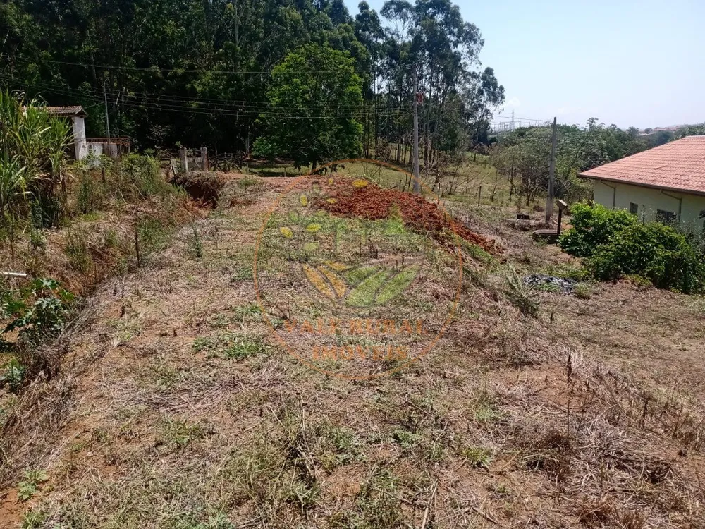 Chácara, 4 quartos, 2 hectares - Foto 3