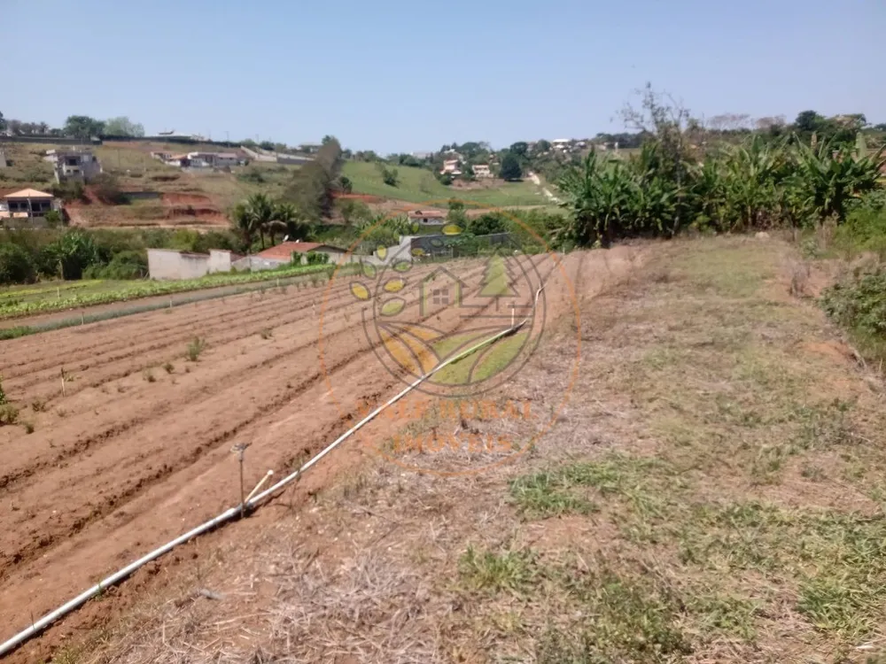Chácara, 4 quartos, 2 hectares - Foto 2