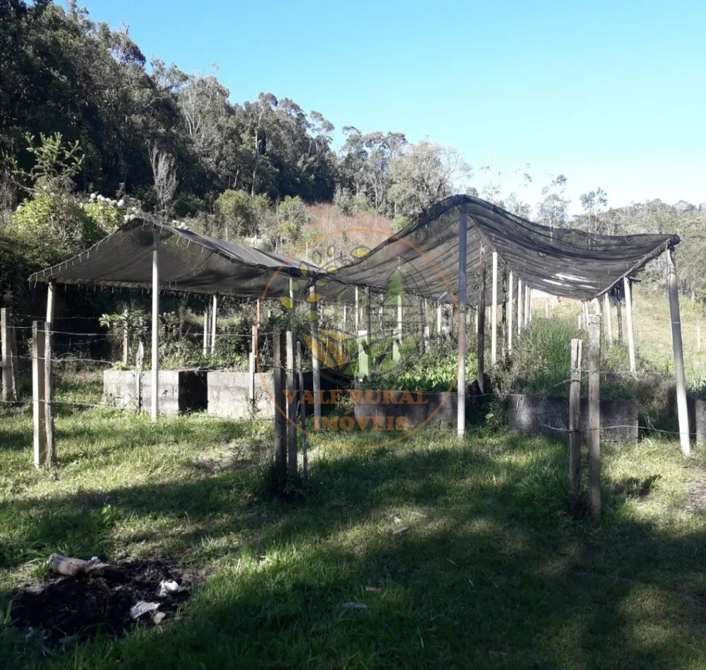 Sítio, 2 quartos - Foto 5