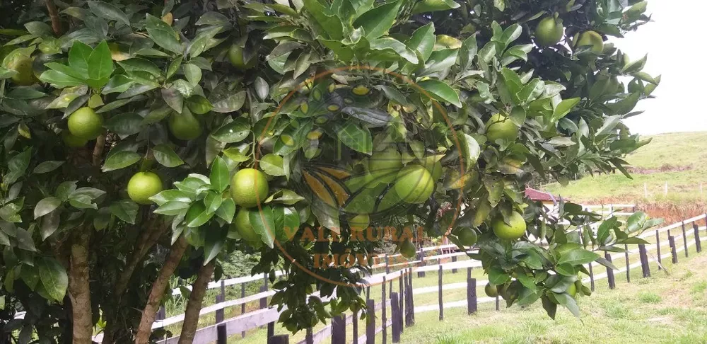 Sítio, 2 quartos, 5 m² - Foto 23